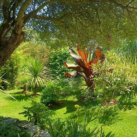 G1 Les Oliviers Дом отдыха Saint-Germain-de-Princay