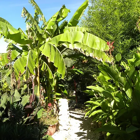 G1 Les Oliviers Holiday home Saint-Germain-de-Princay