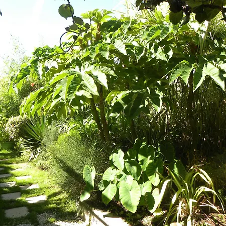 G1 Les Oliviers Holiday home *
