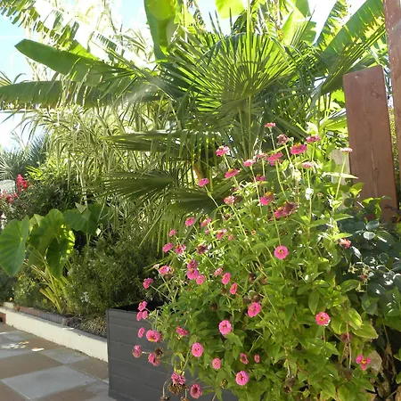 Holiday home G1 Les Oliviers *