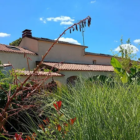 G1 Les Oliviers Holiday home Saint-Germain-de-Princay