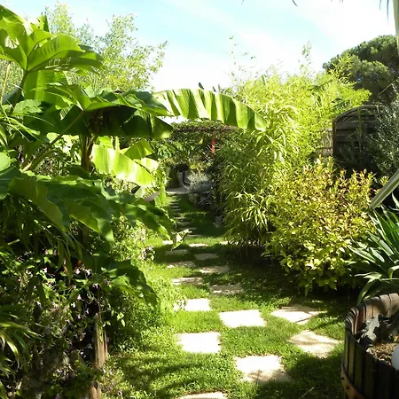 G1 Les Oliviers Holiday home