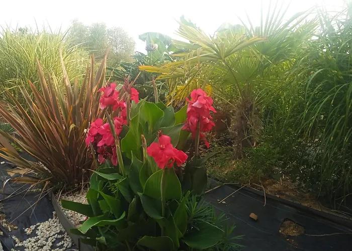 Tatil Evi G1 Les Oliviers *