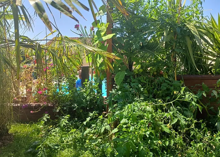 G1 Les Oliviers Tatil Evi Saint-Germain-de-Princay