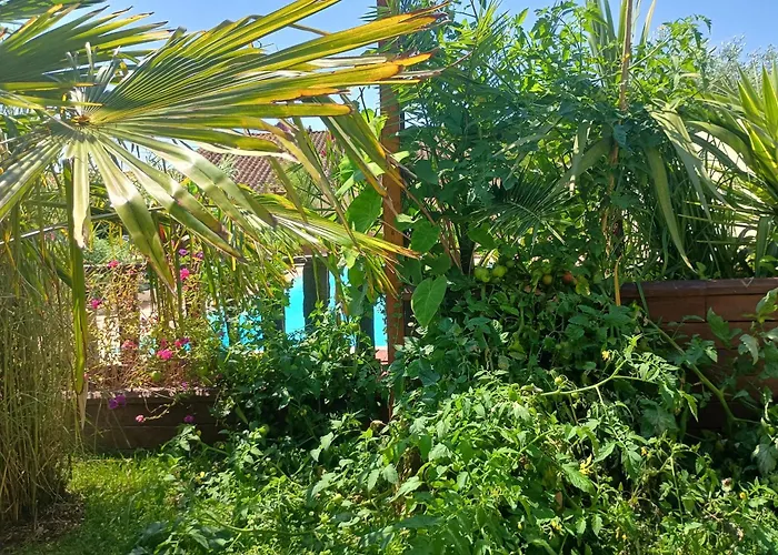 G1 Les Oliviers Tatil Evi Saint-Germain-de-Princay