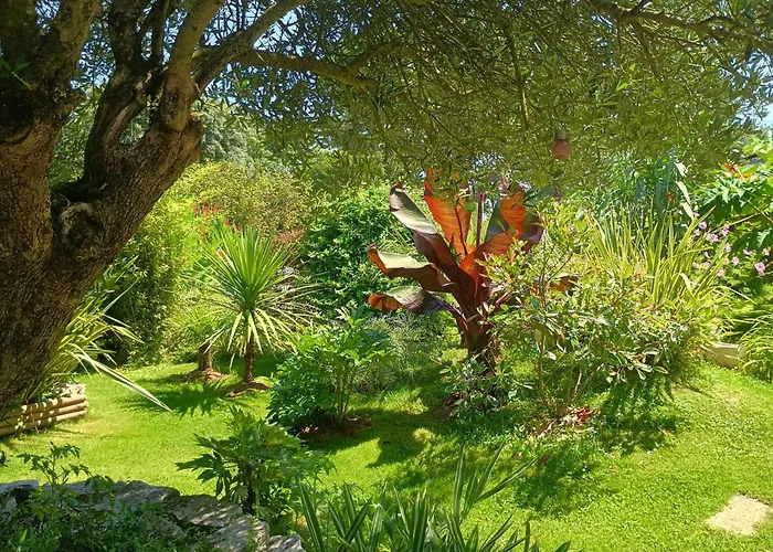 G1 Les Oliviers Tatil Evi Saint-Germain-de-Princay