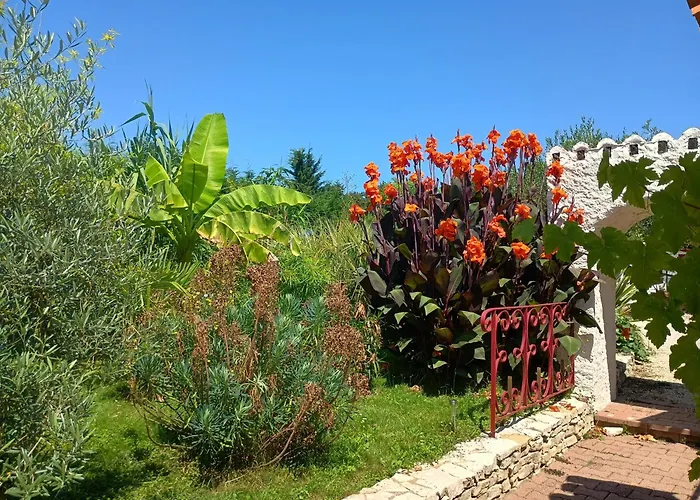 G1 Les Oliviers * Saint-Germain-de-Princay