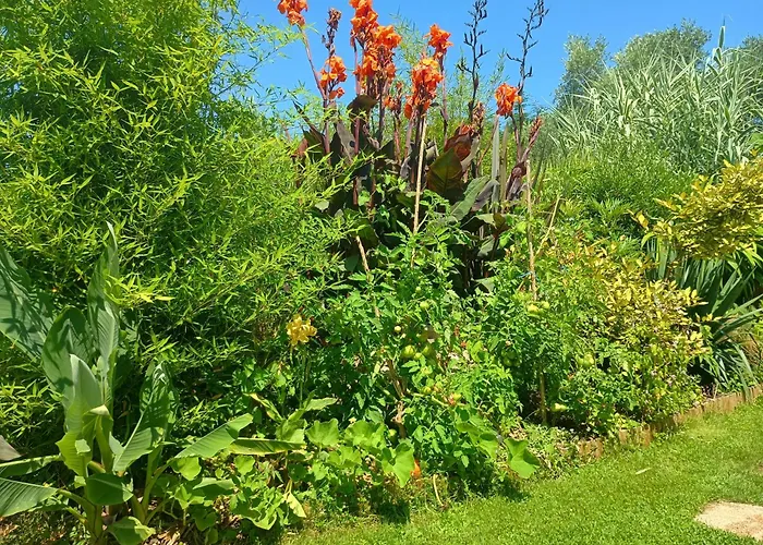 Tatil Evi G1 Les Oliviers Saint-Germain-de-Princay